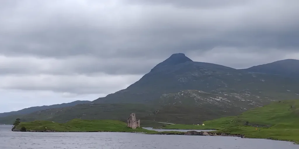 1000010906.webp