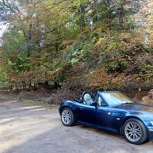 Autumn Colours Cruise, 29 Oct 2017