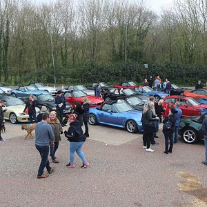 New Forest, 15 April 2018