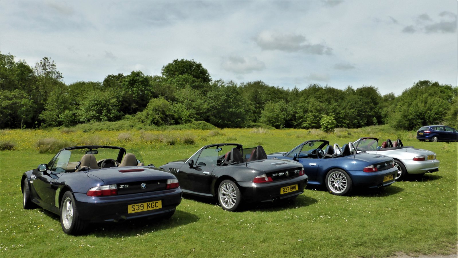 Buttercups and Planes