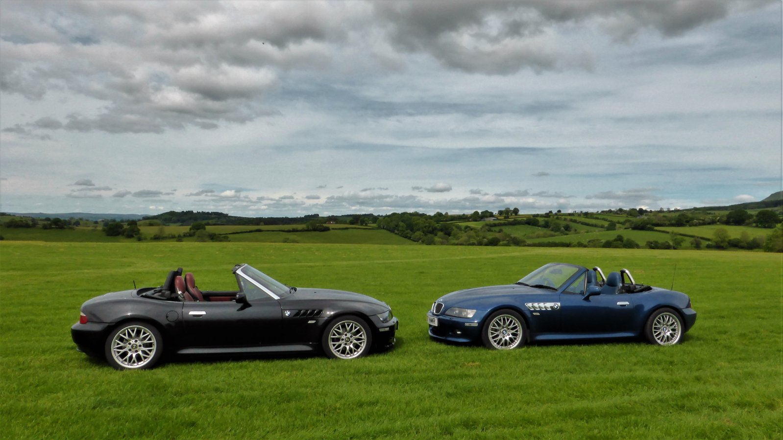 Buttercups and Planes